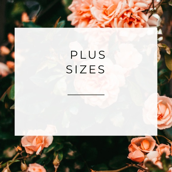 Plus Sizes - Picture 1 of 1